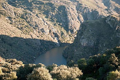 Galera Arribes del Duero