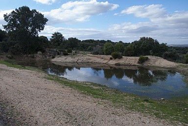 Charca de Rieta la Encina