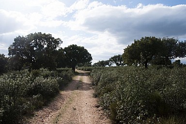 Rutas por los Arribes del Duero